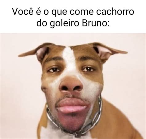 cachorro do goleiro bruno o'que aconteceu